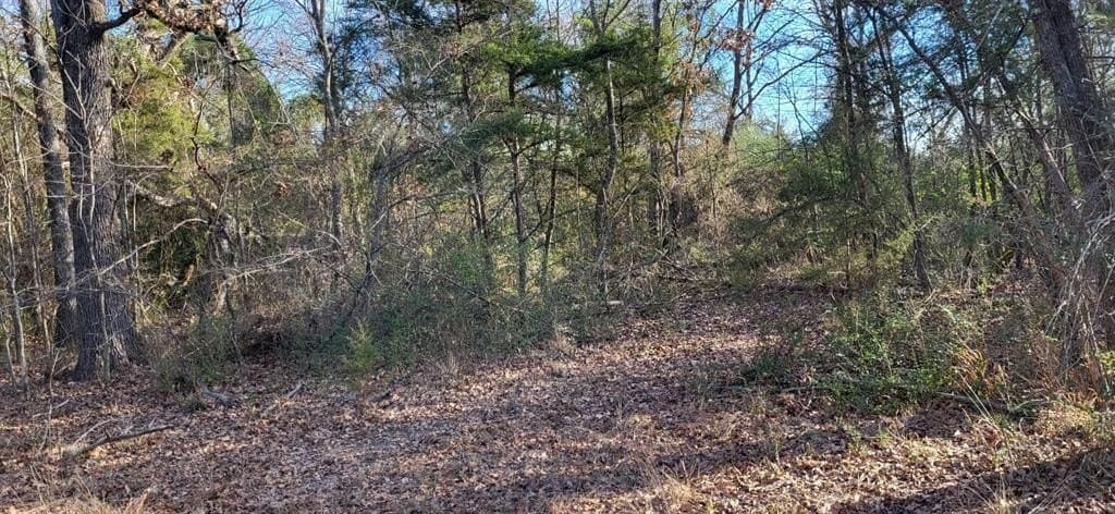 14.28 acres in Hopkins County - photo 9