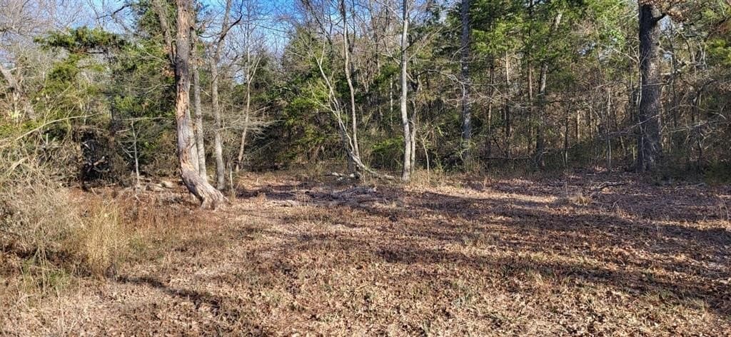 14.28 acres in Hopkins County - photo 6