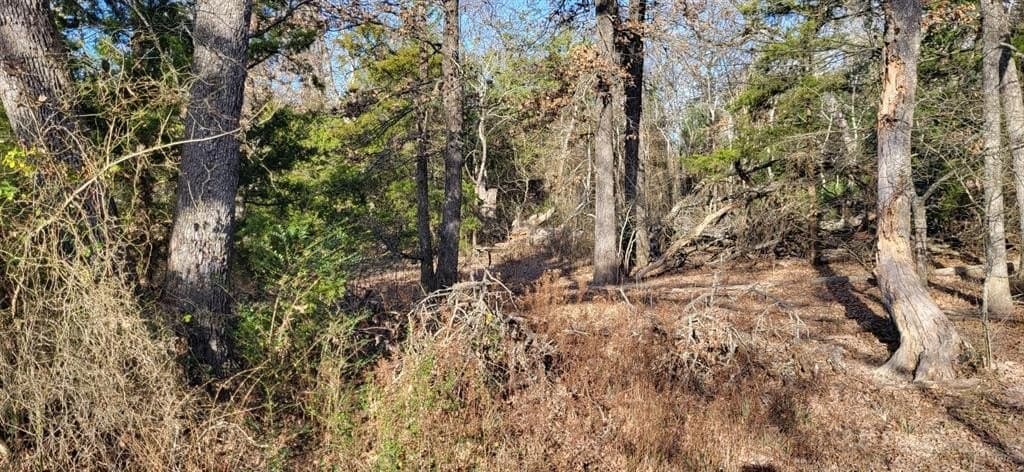 14.28 acres in Hopkins County - photo 10