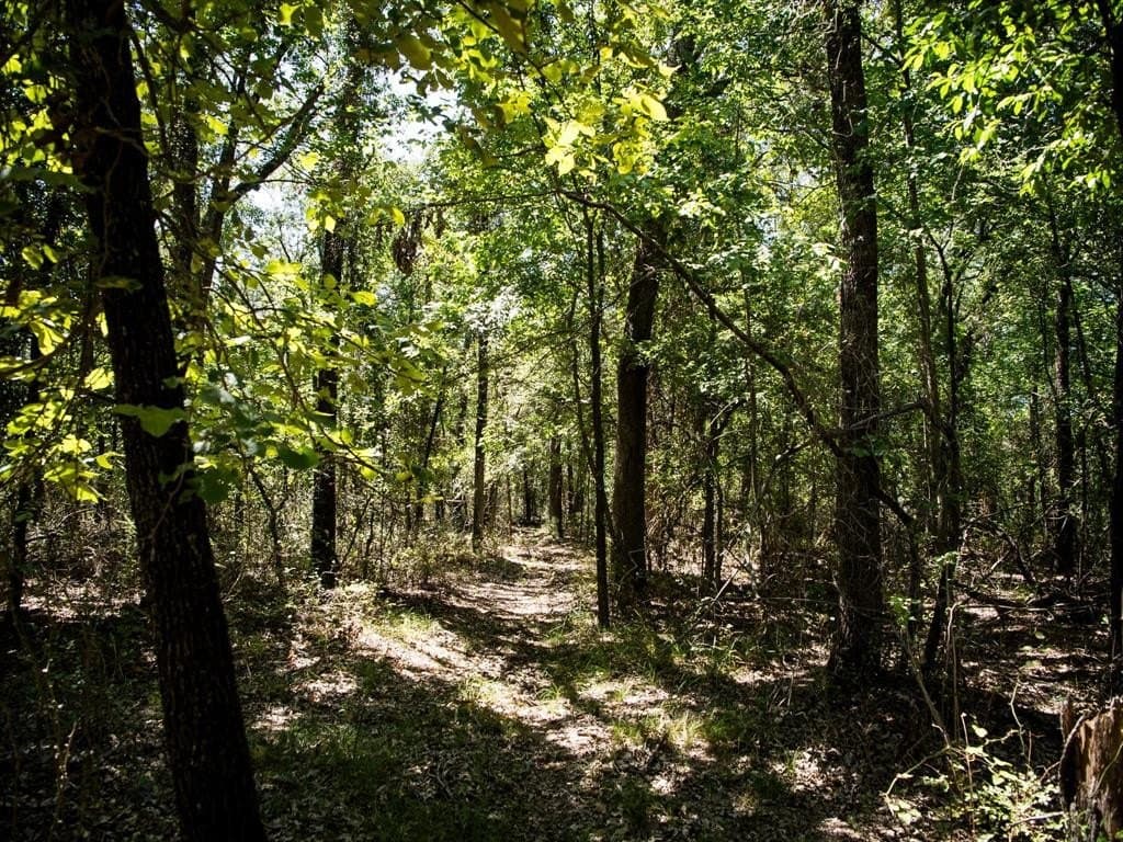 24 acres in Denton County - photo 2