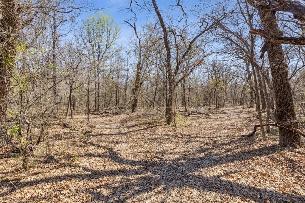 24 acres in Denton County - photo 3
