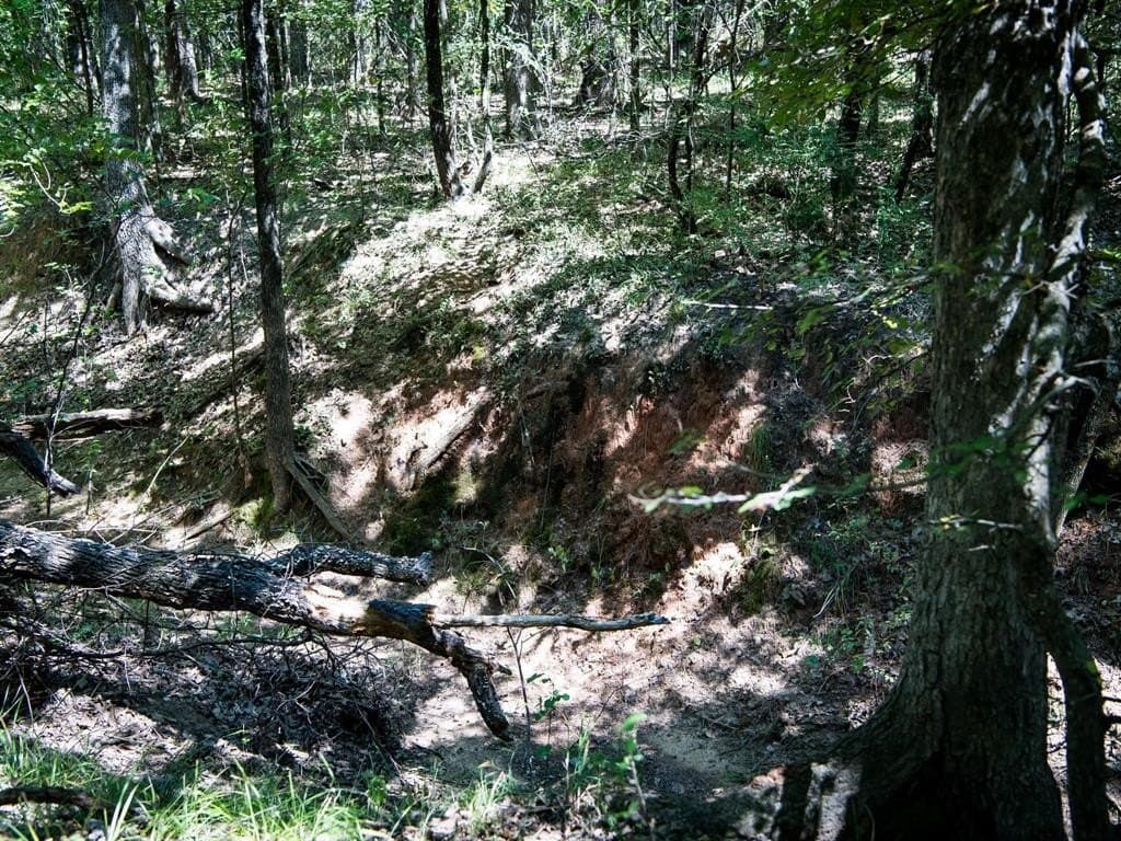 24 acres in Denton County - photo 4