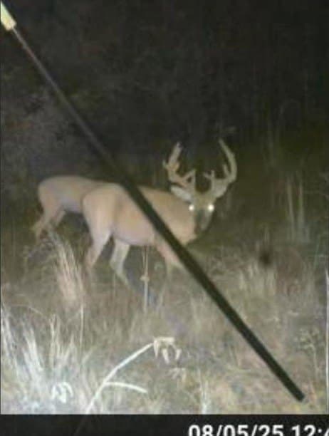15.01 acres in ANDERSON County - photo 41