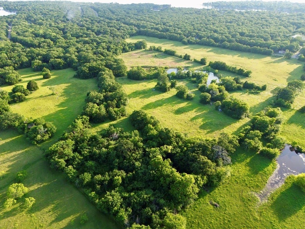 32 acres in Henderson County - photo 4