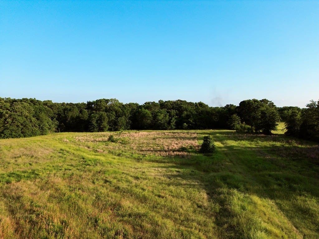 32 acres in Henderson County - photo 8