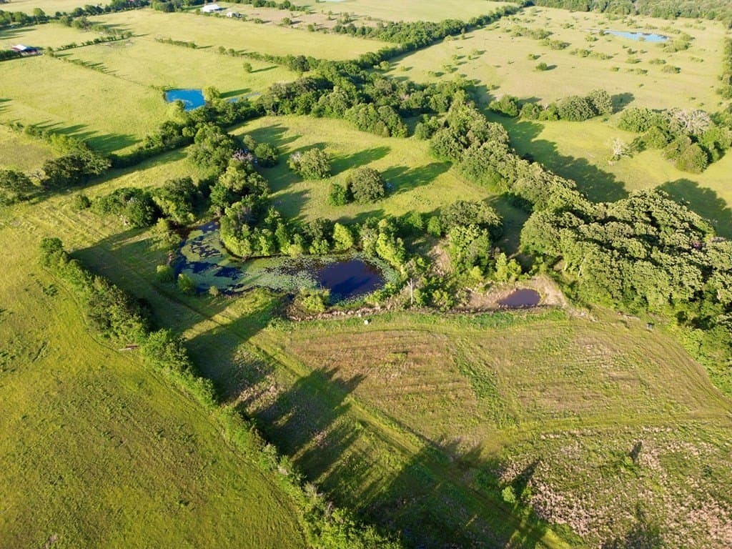 32 acres in Henderson County - photo 5