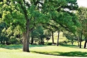 0.23 acres in Grayson County - photo 6