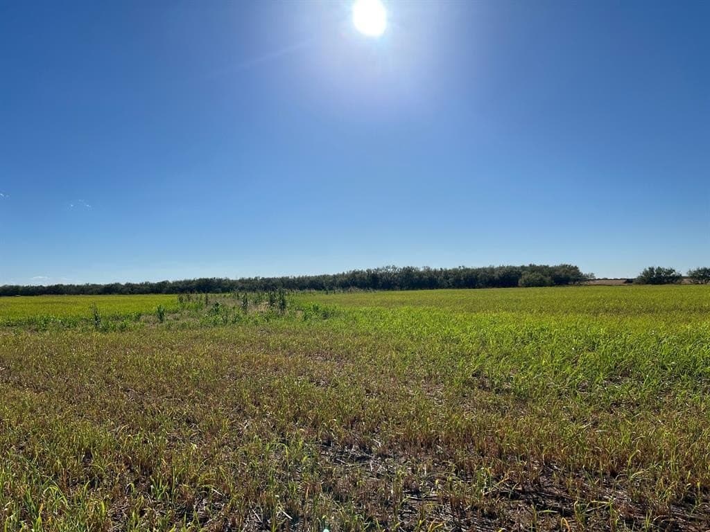 40 acres in Young County - photo 4