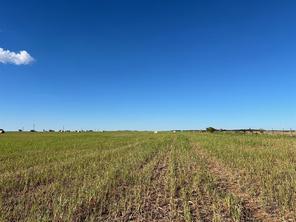 40 acres in Young County - photo 3
