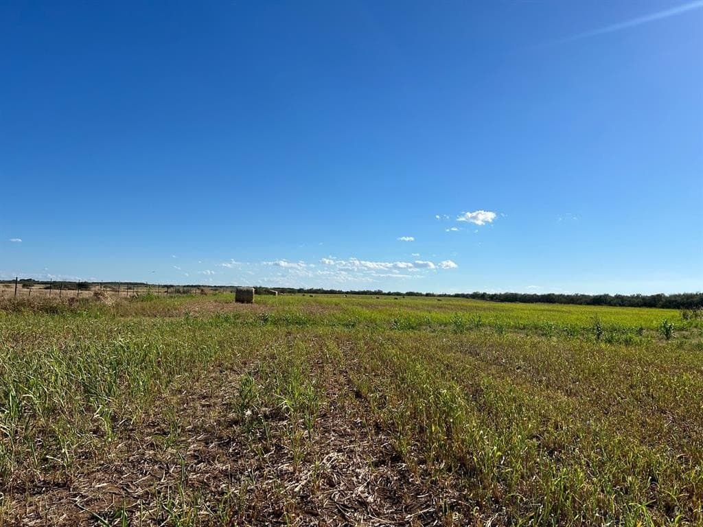 40 acres in Young County - photo 6