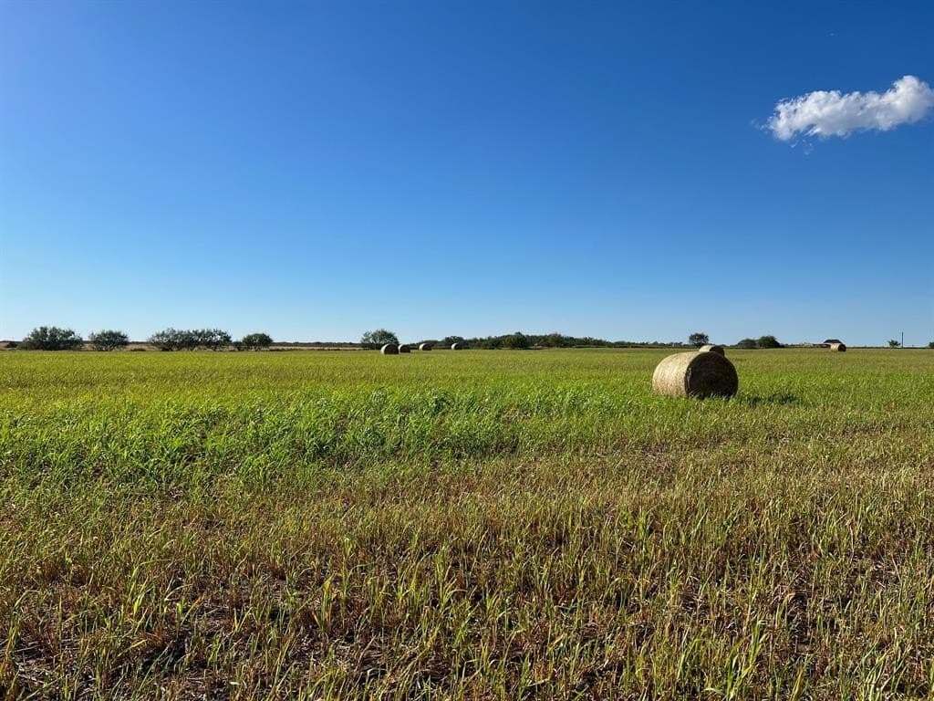 40 acres in Young County - photo 5