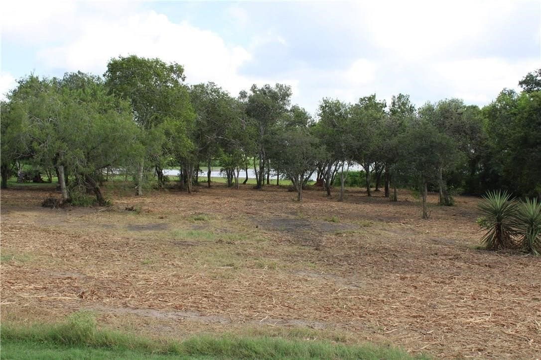 2.15 acres in Live Oak County - photo 5