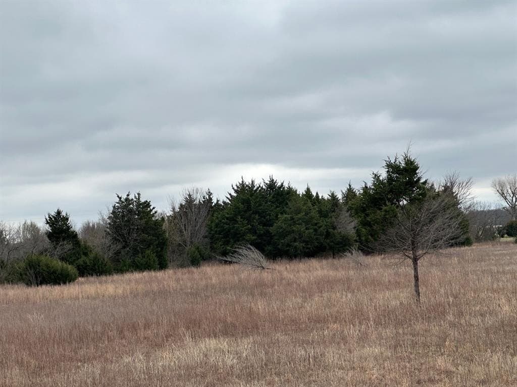12.13 acres in Ellis County - photo 31