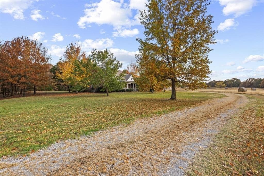 15 acres in Fannin County - photo 2