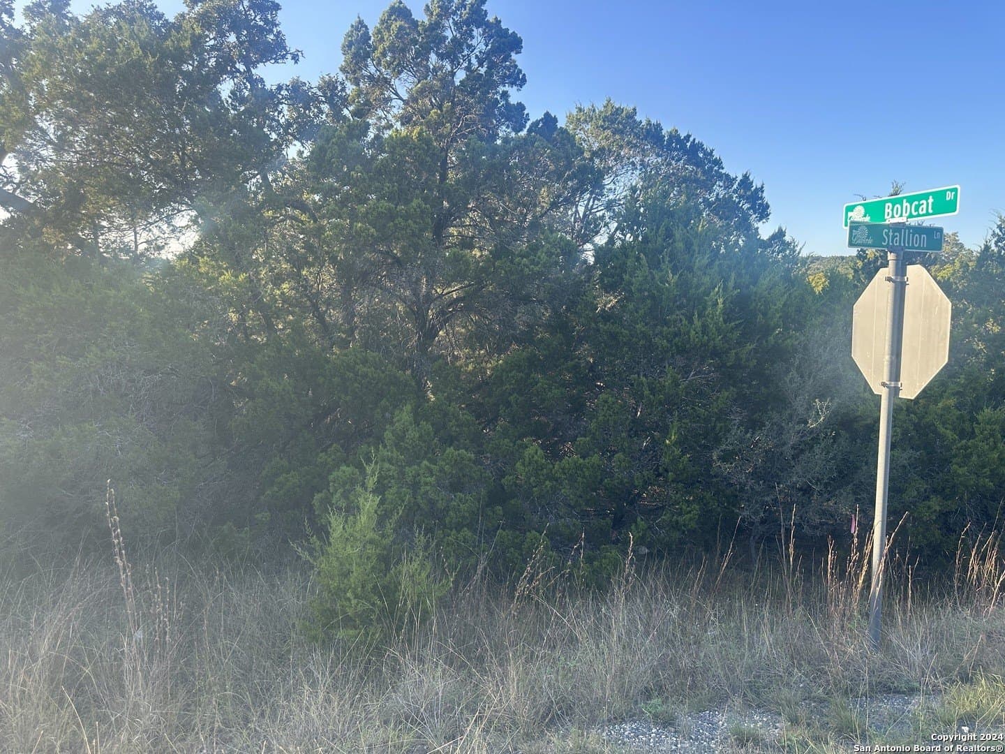 3.95 acres in Comal County - photo 4