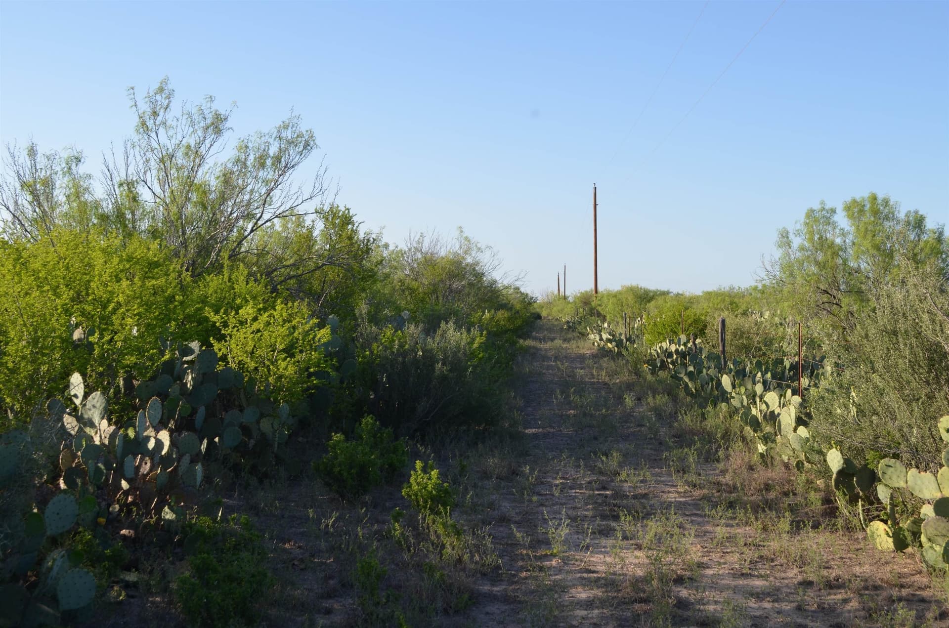 10.39 acres in Webb County - photo 6