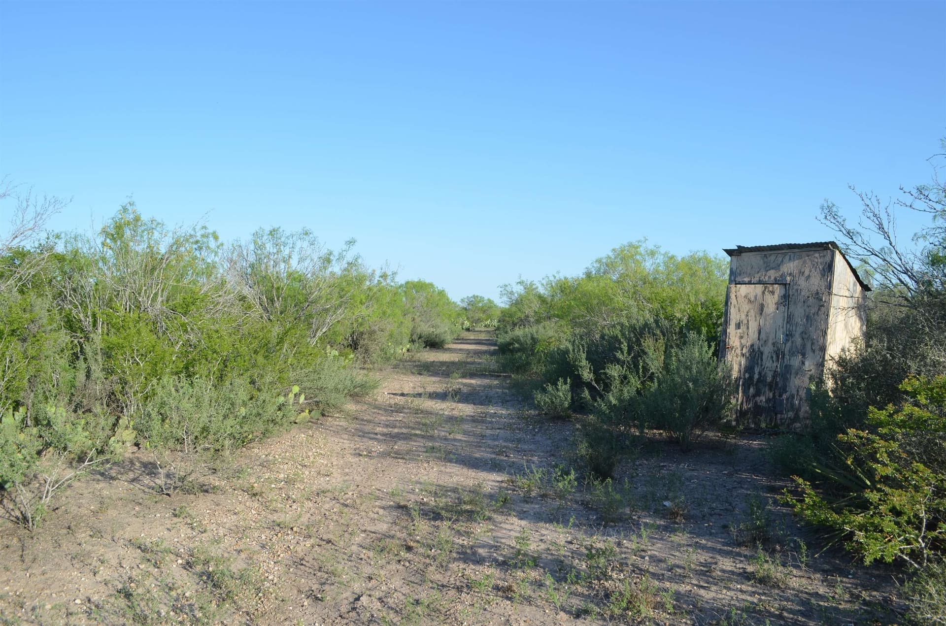 10.39 acres in Webb County - photo 3