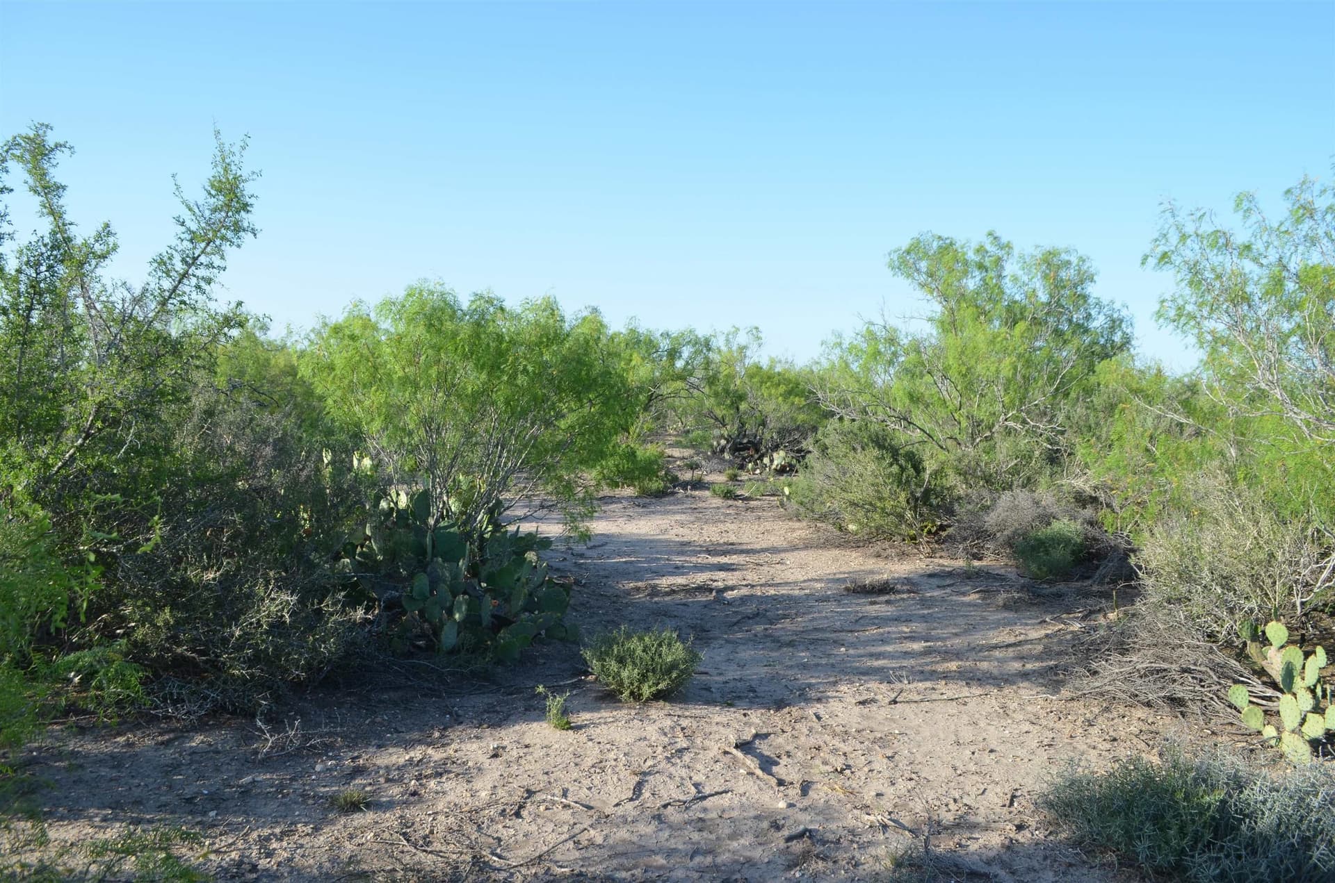 10.39 acres in Webb County - photo 23