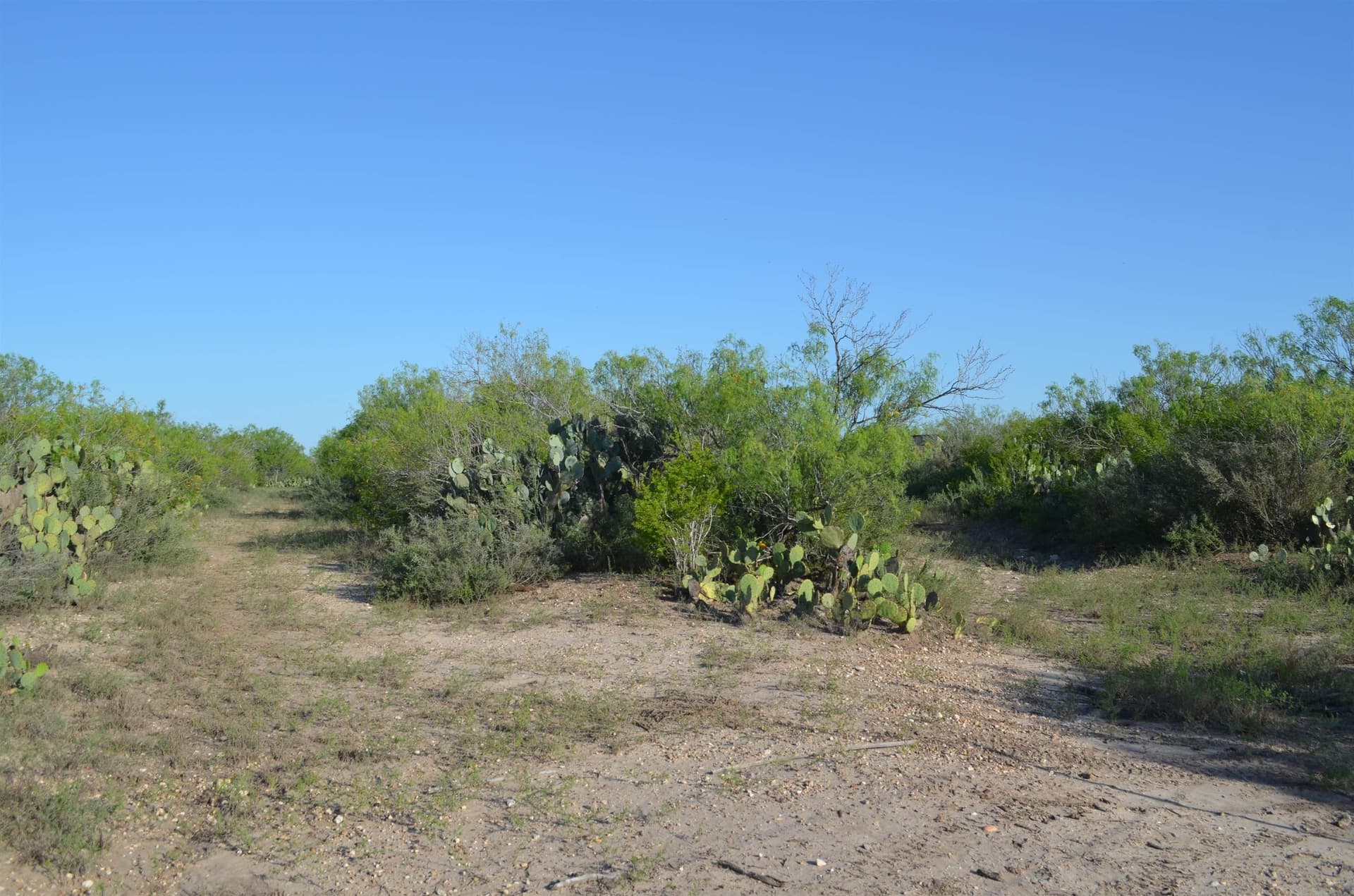 10.39 acres in Webb County - photo 11