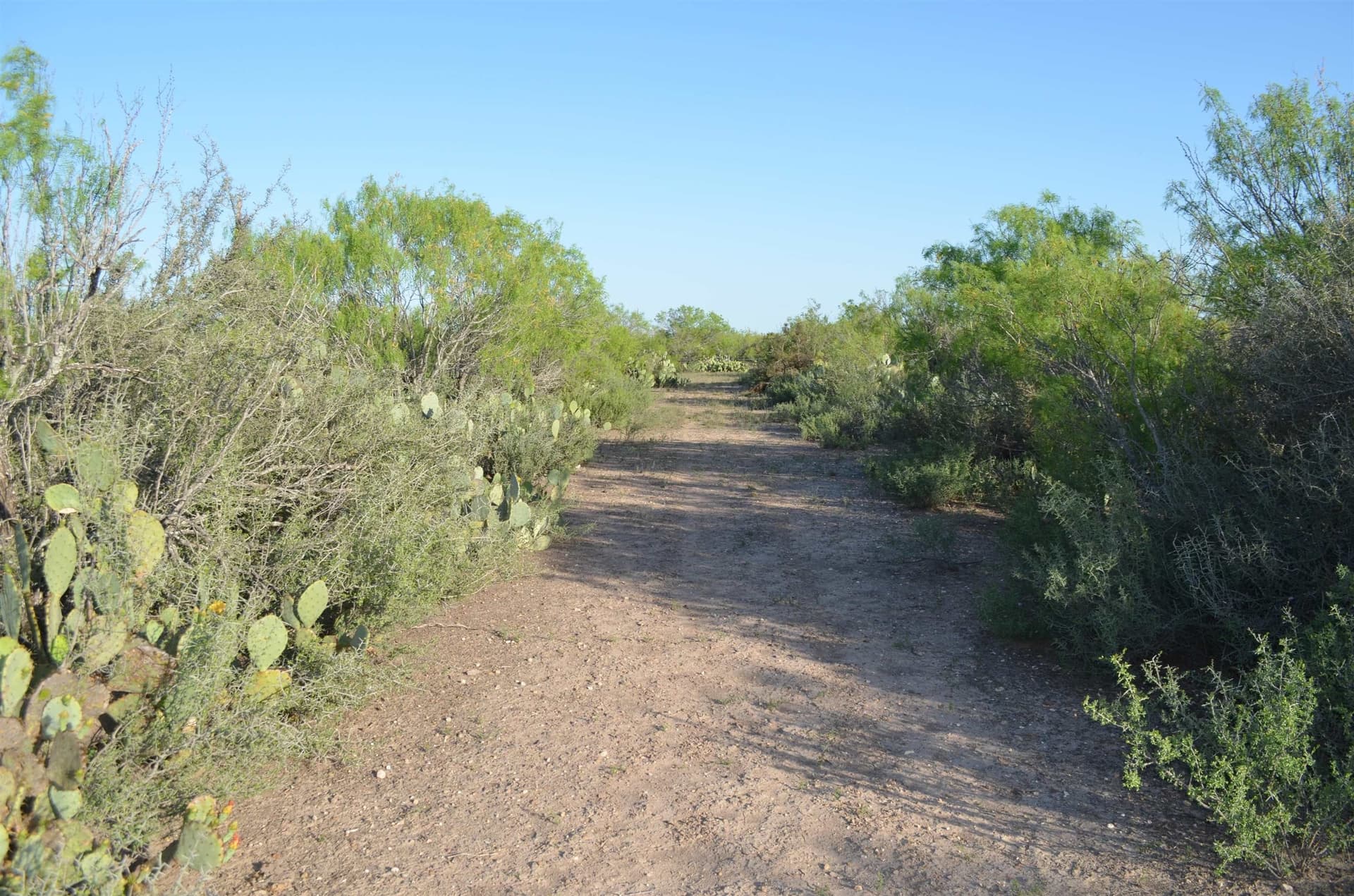 10.39 acres in Webb County - photo 4