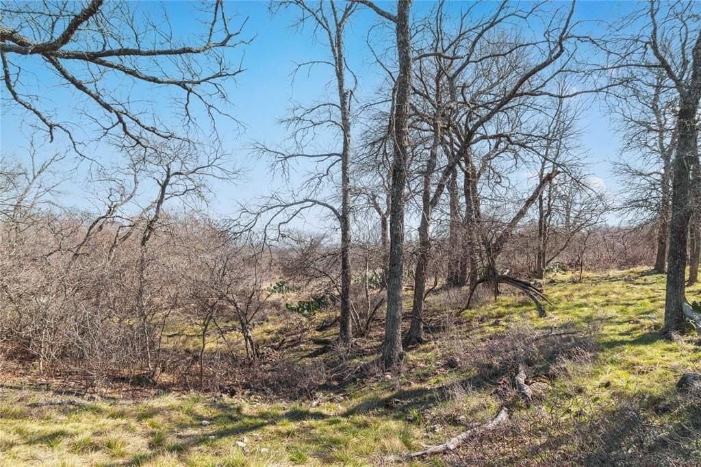 65.33 acres in Mills County - photo 39