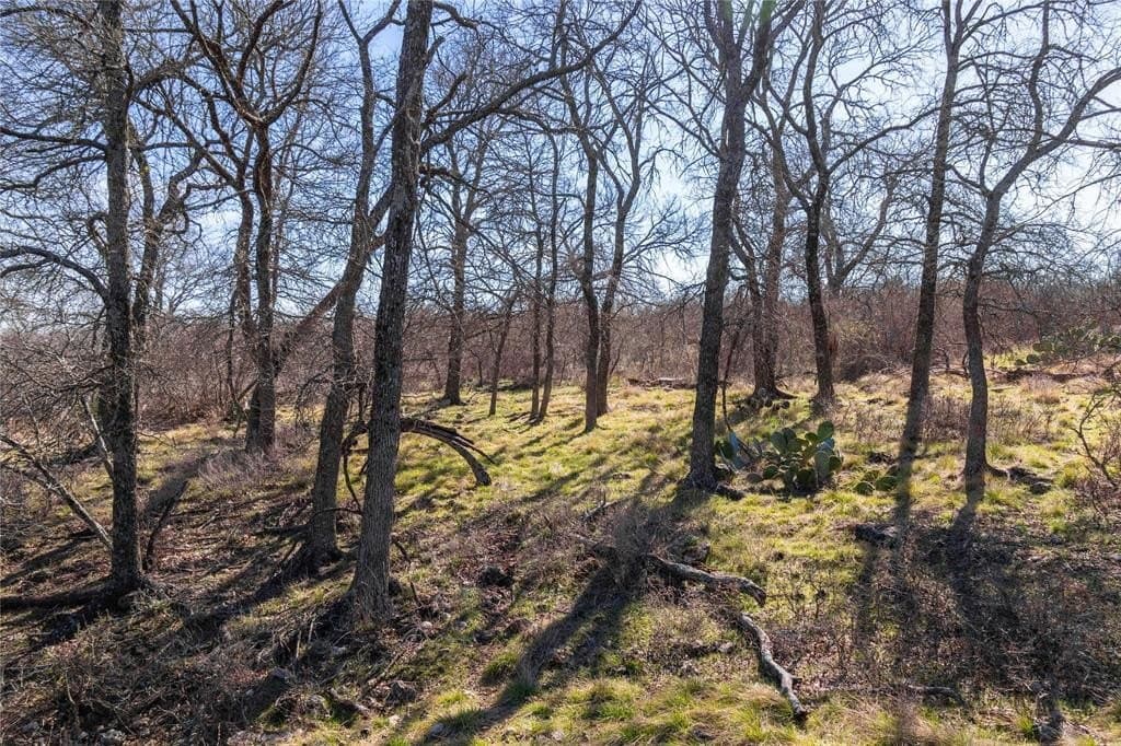 65.33 acres in Mills County - photo 38