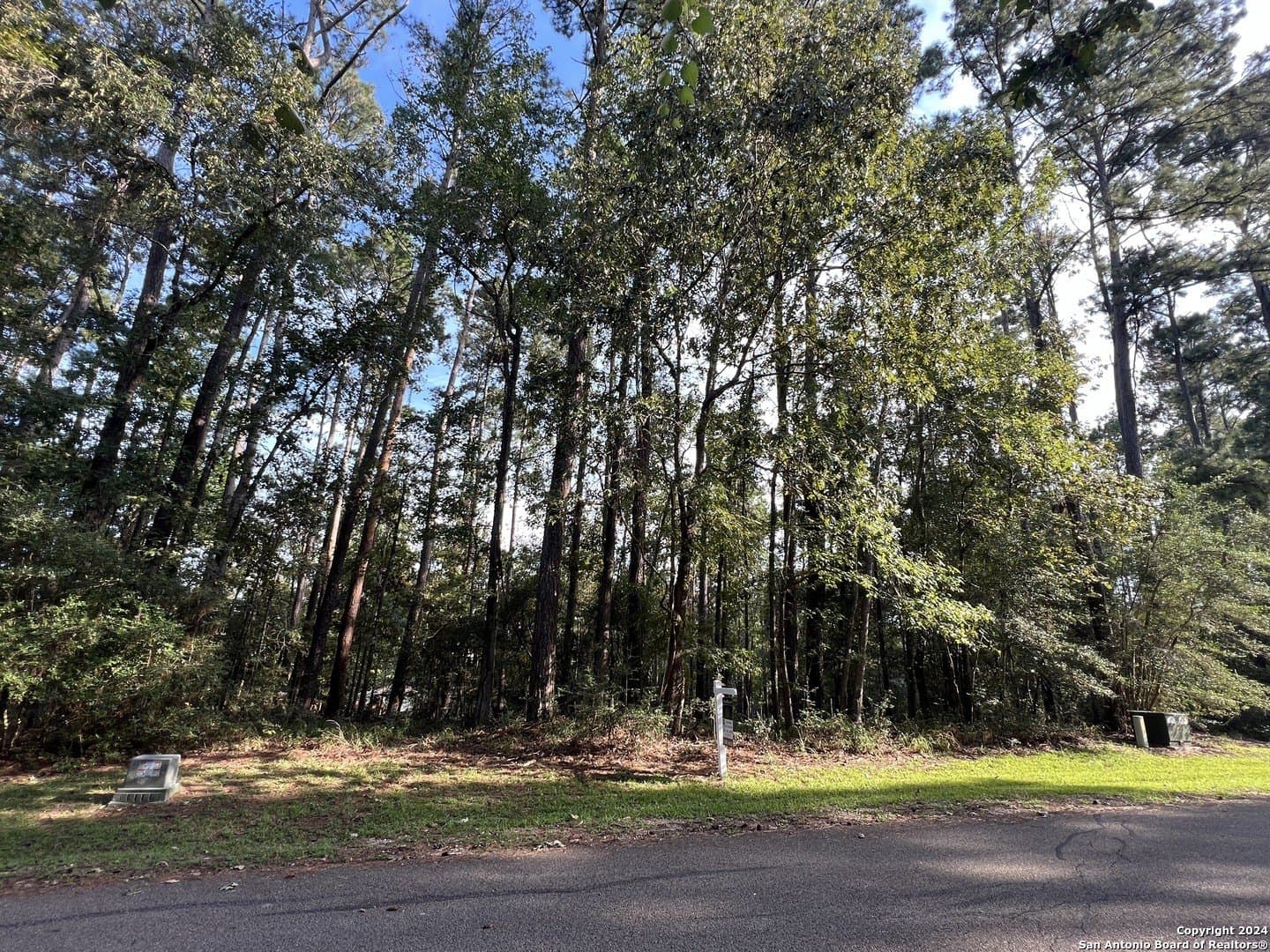 0.25 acres in San Jacinto County - photo 3