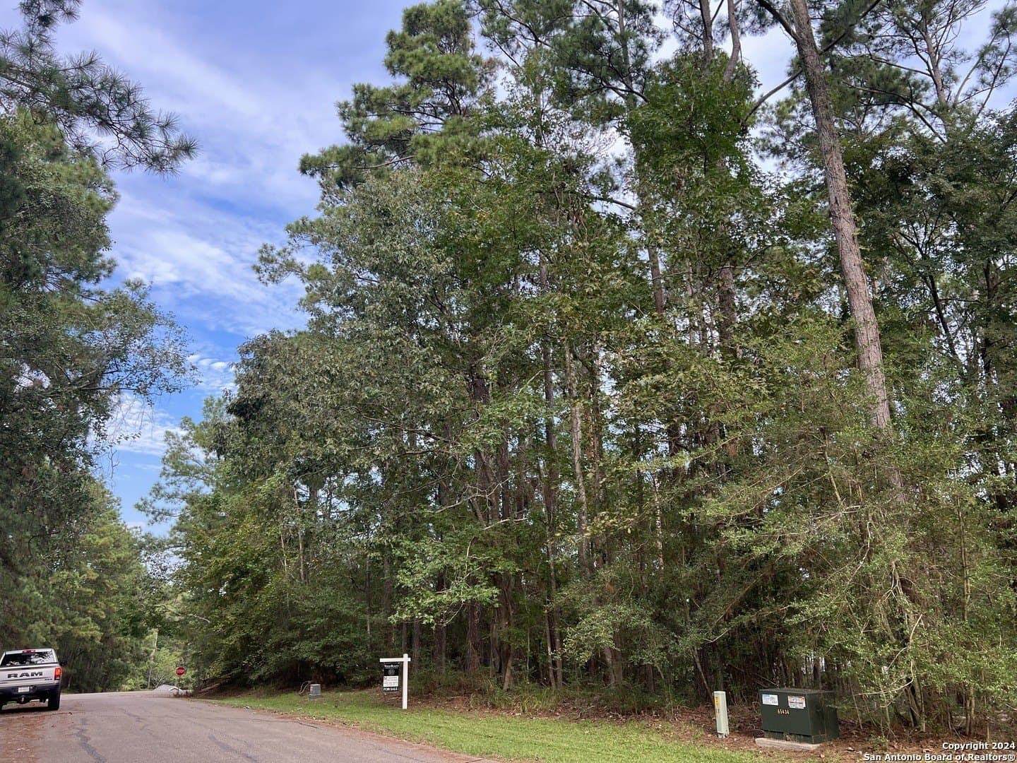 0.25 acres in San Jacinto County - photo 4