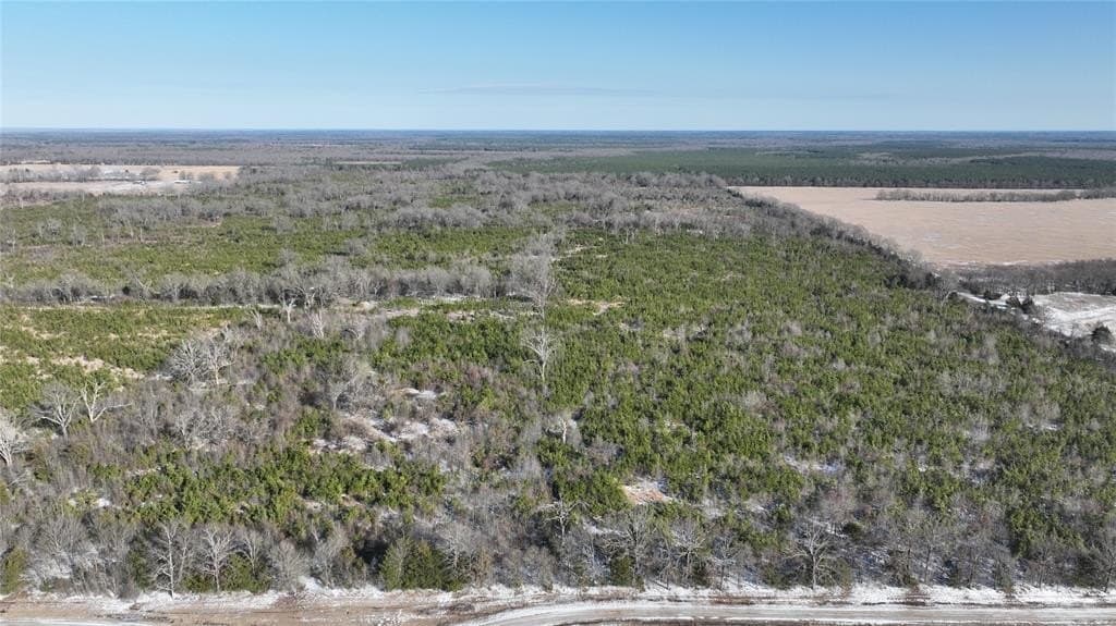 129.27 acres in Red River County - photo 17