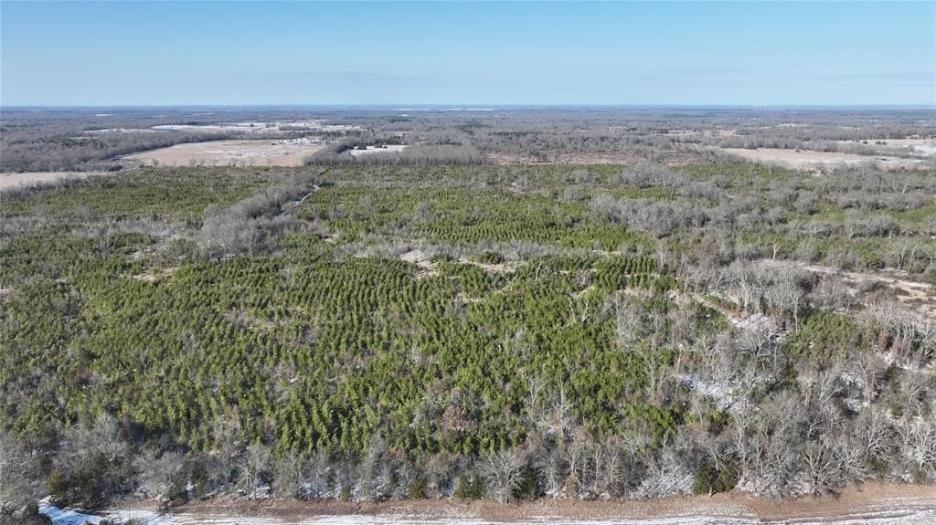 129.27 acres in Red River County - photo 24