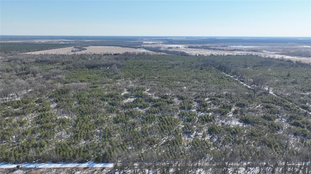 129.27 acres in Red River County - photo 6