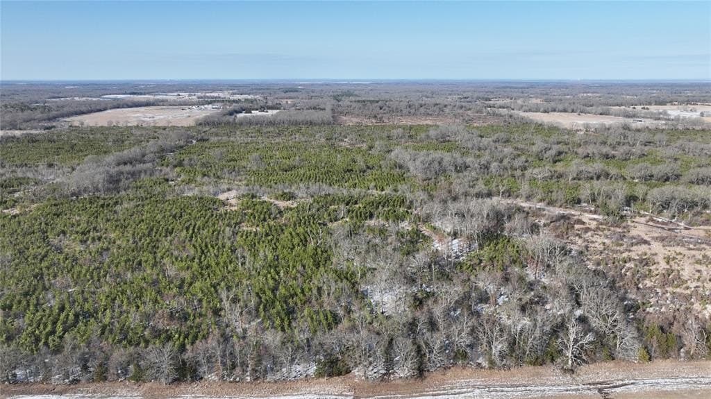 129.27 acres in Red River County - photo 25