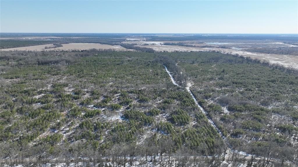 129.27 acres in Red River County - photo 7
