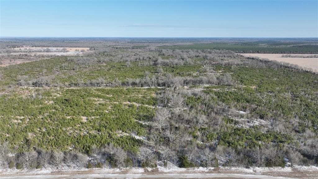 129.27 acres in Red River County - photo 16