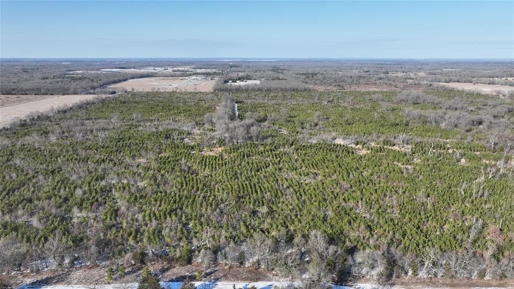 129.27 acres in Red River County - photo 23