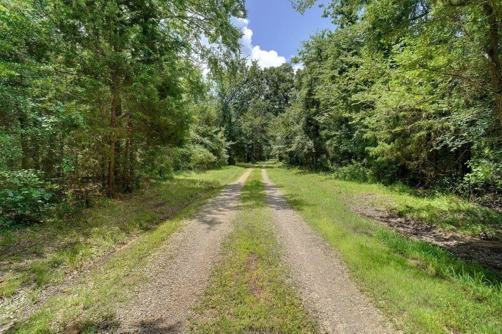 25 acres in Wood County - photo 22
