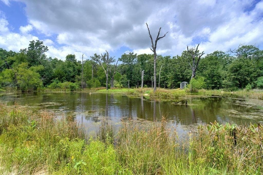 25 acres in Wood County - photo 28