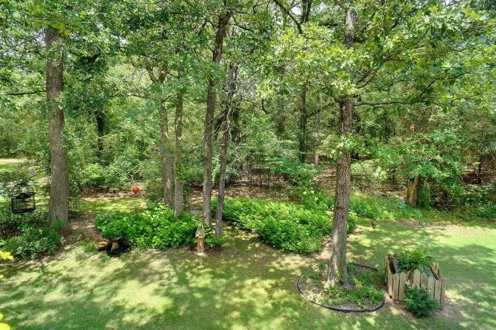 25 acres in Wood County - photo 26
