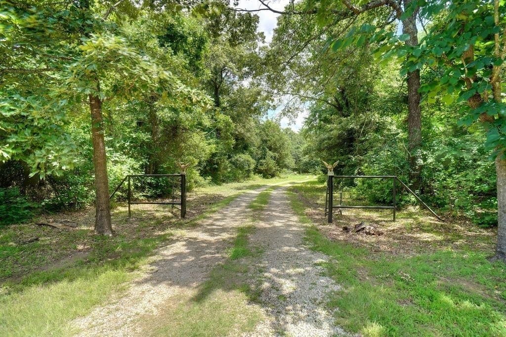 25 acres in Wood County - photo 21