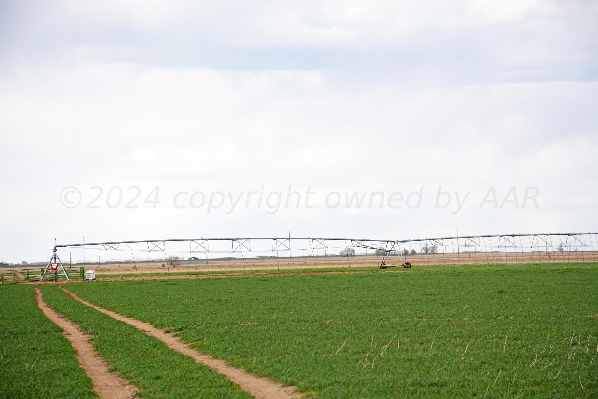 160 acres in Bailey County - photo 25