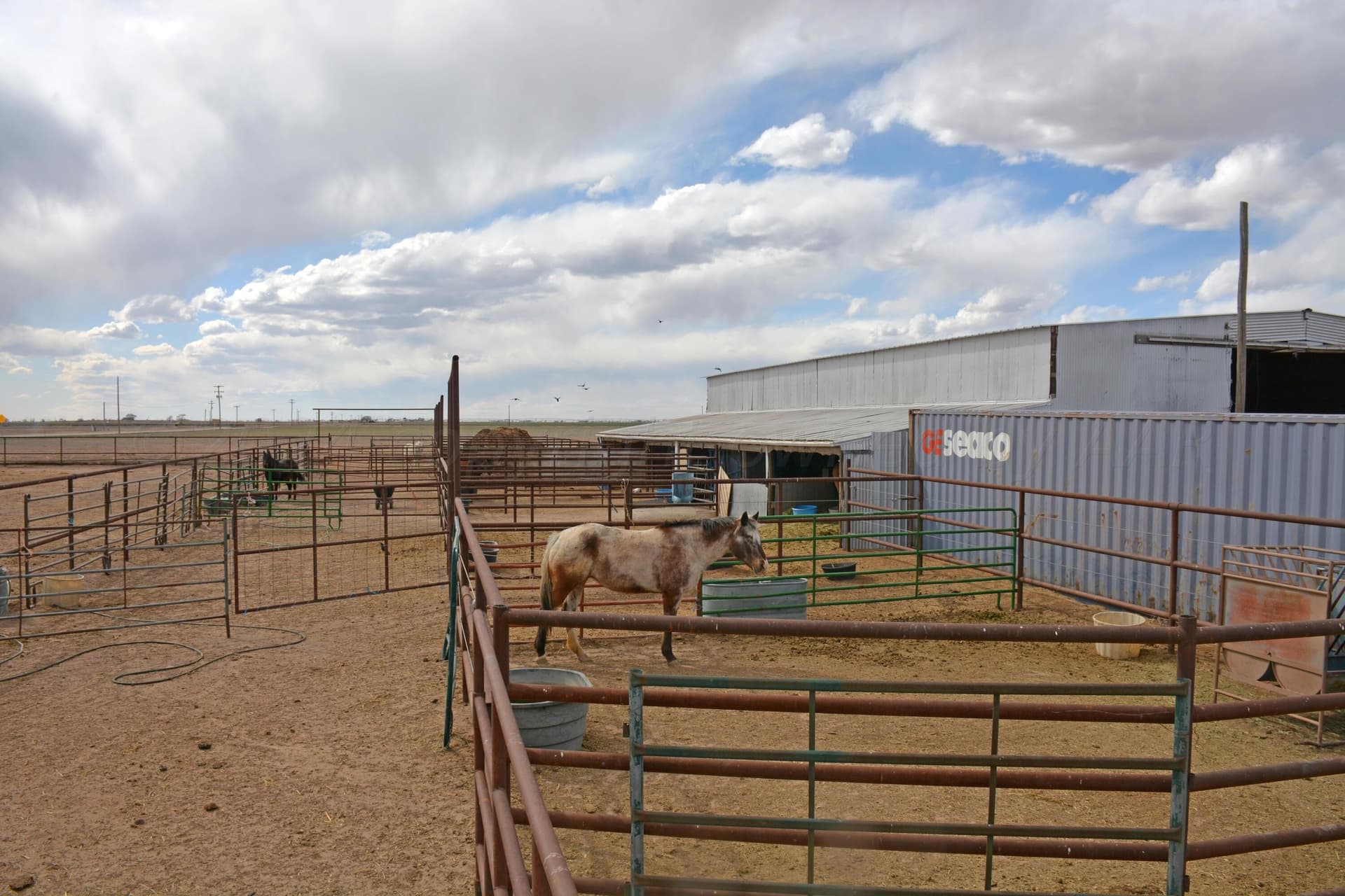 160 acres in Bailey County - photo 23