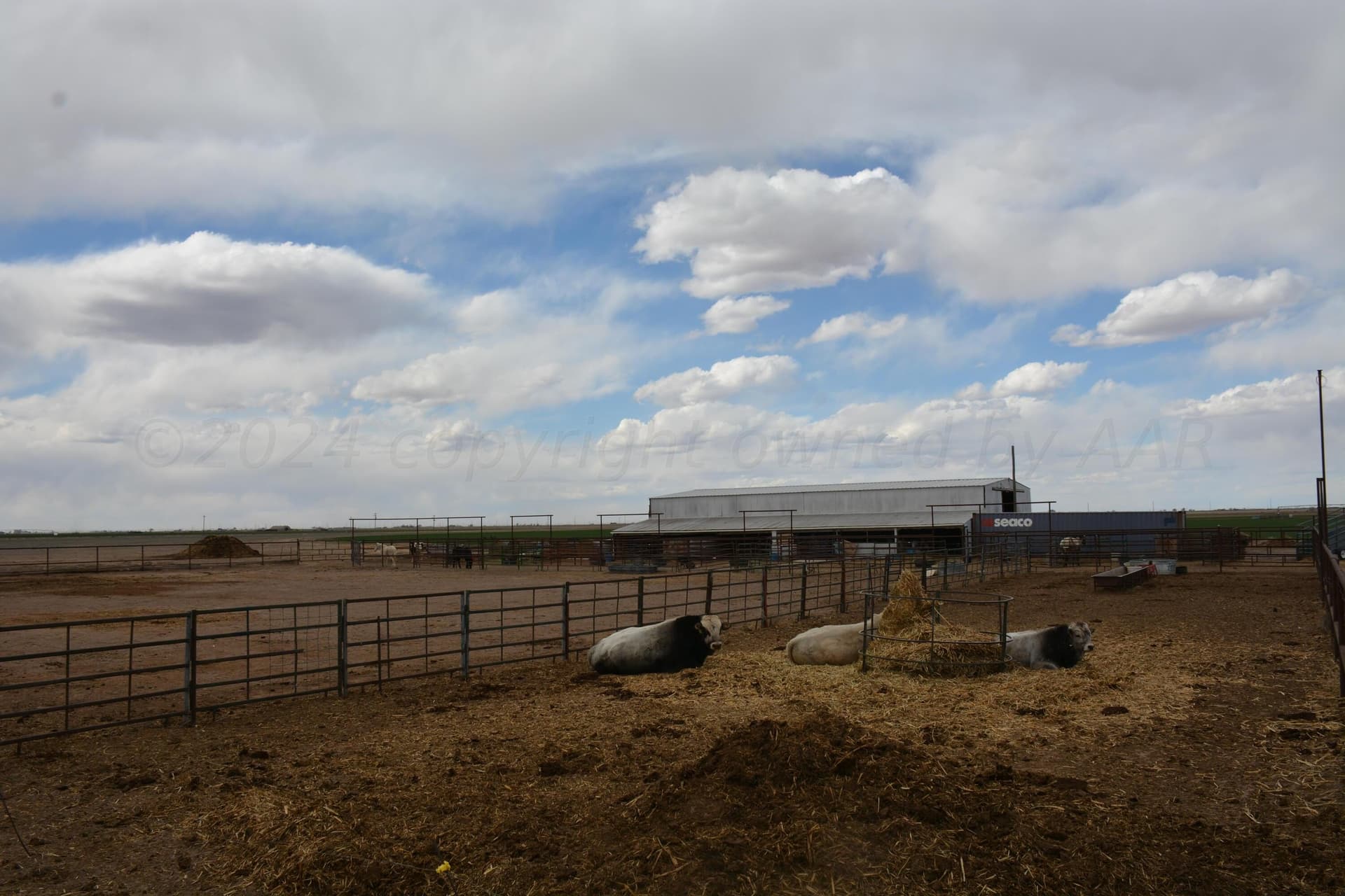 160 acres in Bailey County - photo 30