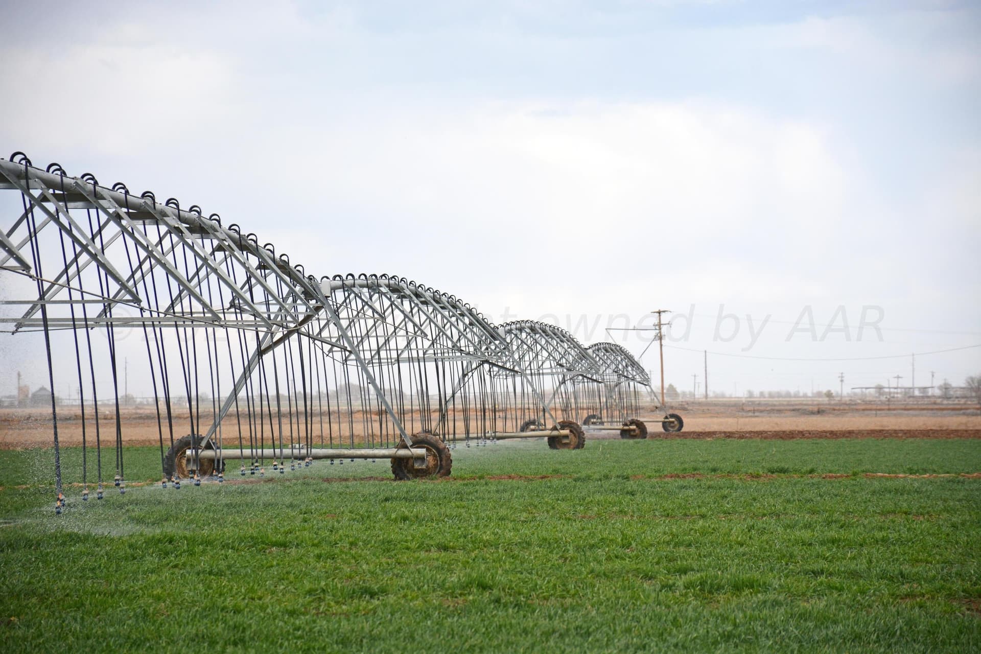 160 acres in Bailey County - photo 28