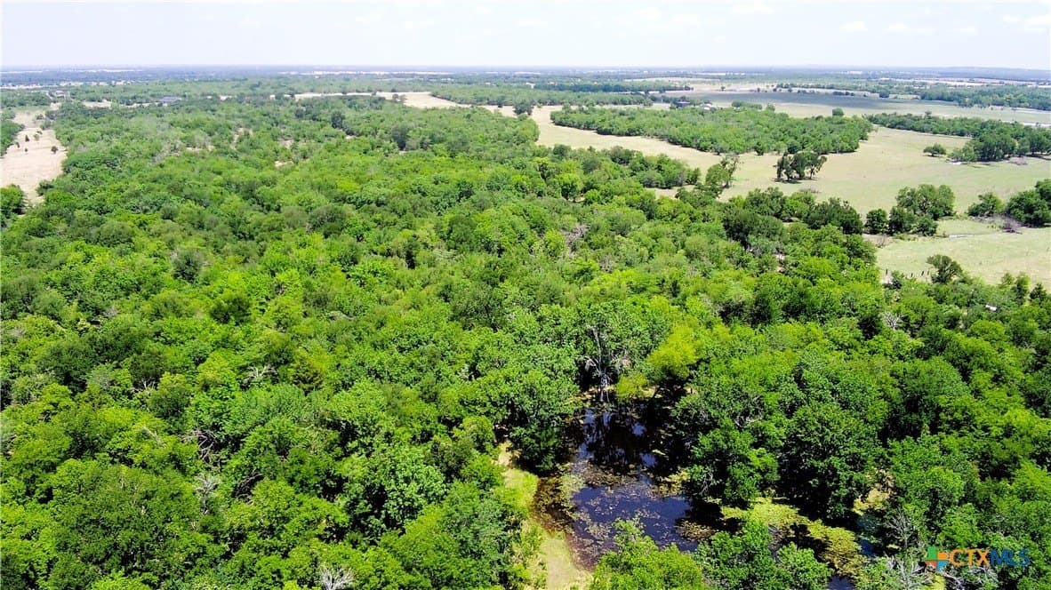 103 acres in Limestone County - photo 5