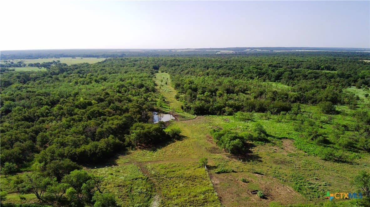 103 acres in Limestone County - photo 2
