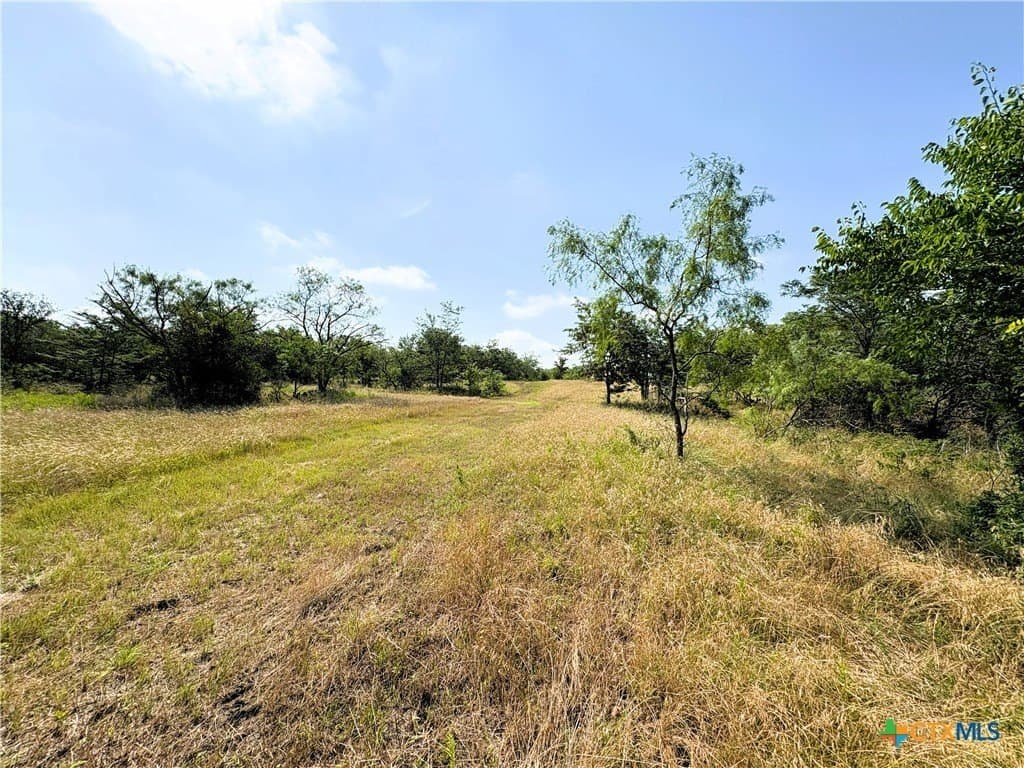 103 acres in Limestone County - photo 19