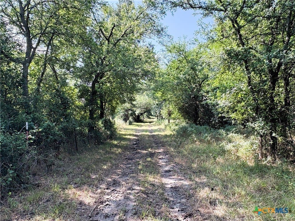 103 acres in Limestone County - photo 20
