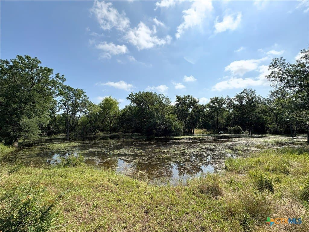 103 acres in Limestone County - photo 16