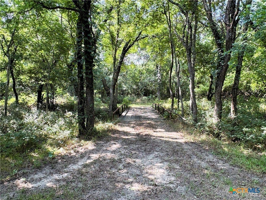 103 acres in Limestone County - photo 18