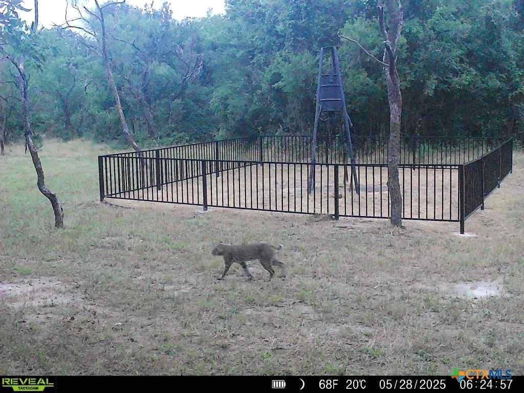 103 acres in Limestone County - photo 14